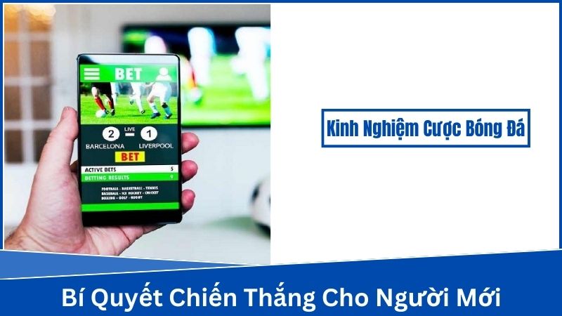 Kinh Nghiệm Cược Bóng Đá - Phân tích trận đấu