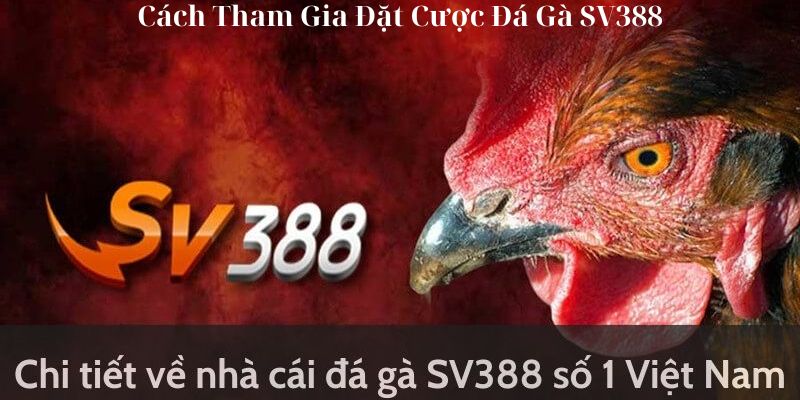 Cách Tham Gia Đặt Cược Đá Gà SV388