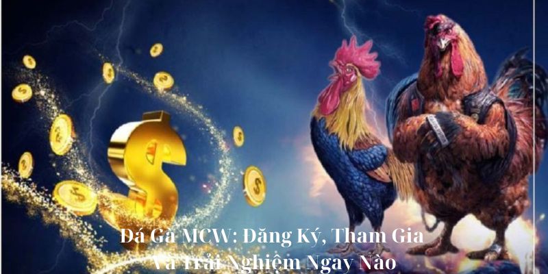 Đá Gà MCW: Đăng Ký, Tham Gia Và Trải Nghiệm Ngay Nào