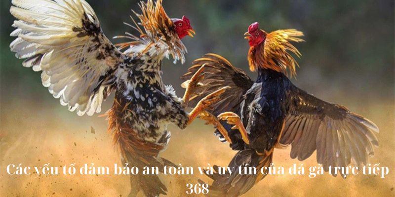 Các yếu tố đảm bảo an toàn và uy tín của đá gà trực tiếp 368