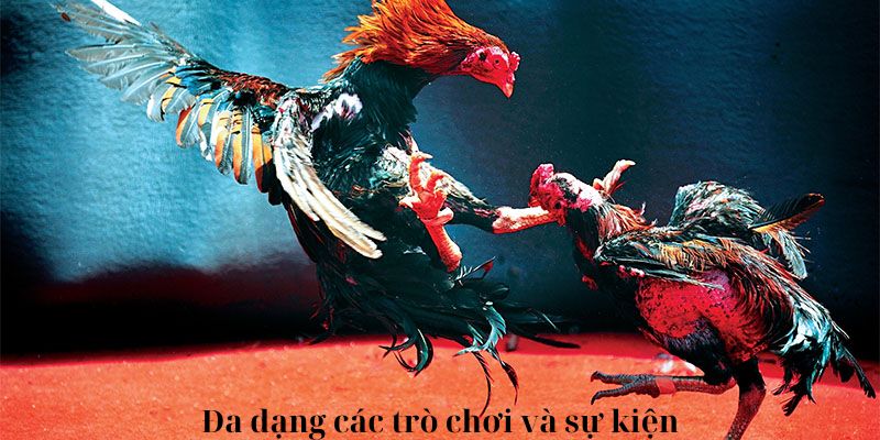 Đa dạng các trò chơi và sự kiện