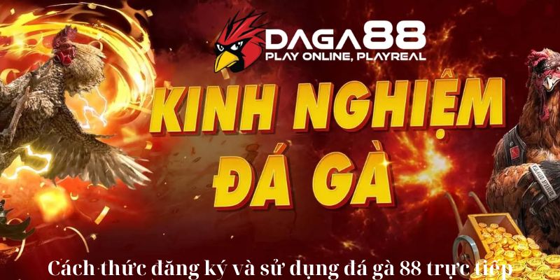 Cách thức đăng ký và sử dụng đá gà 88 trực tiếp