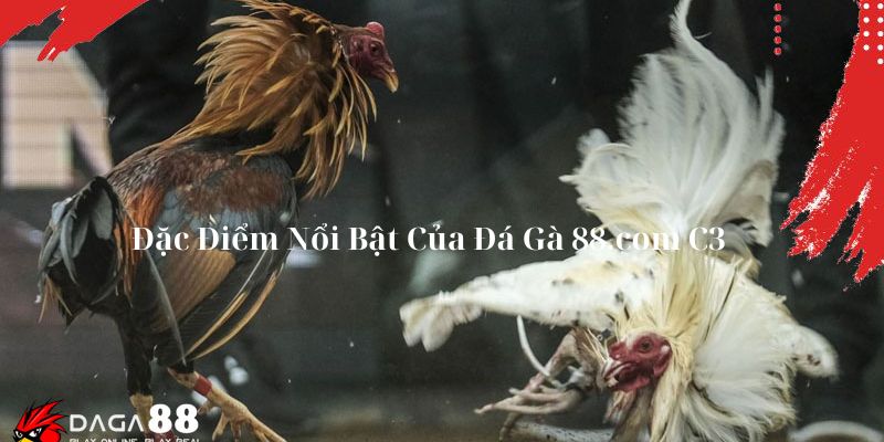 Đặc Điểm Nổi Bật Của Đá Gà 88.com C3