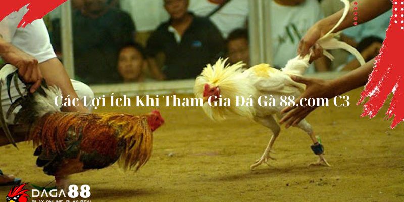 Các Lợi Ích Khi Tham Gia Đá Gà 88.com C3