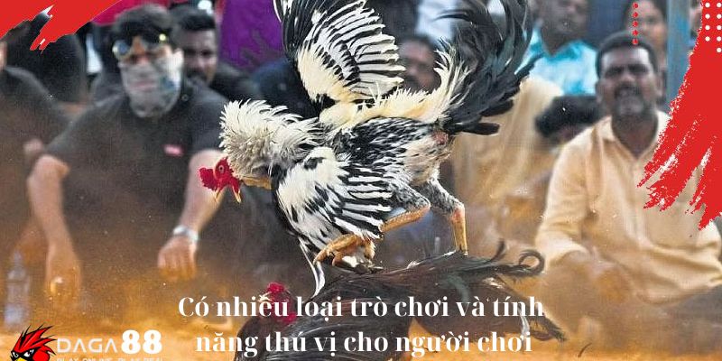 Có nhiều loại trò chơi và tính năng thú vị cho người chơi